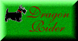 Visit DragonRider Designs
